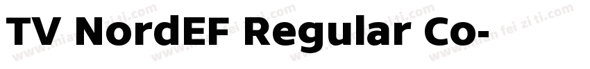 TV NordEF Regular Co字体转换
